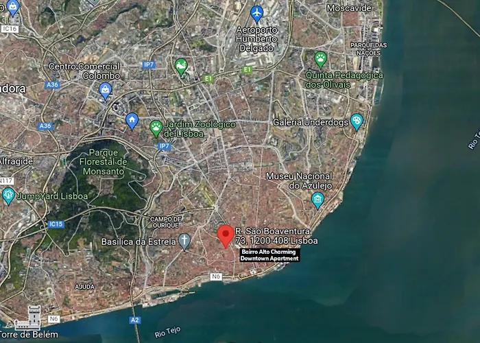 Downtown Charming 公寓 *